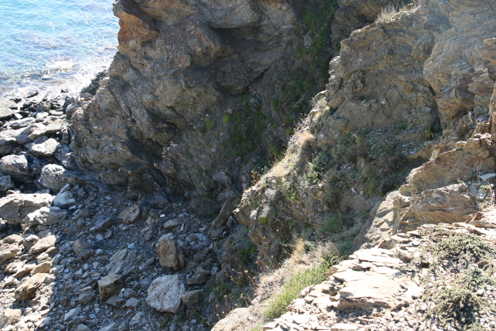 Armerietum ruscinonensis subsp. ruscinonensis