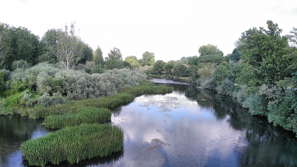 Salici albae - Populetum albae