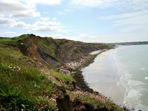 Armerio maritimae - Festucetea rubrae subsp. pruinosae